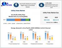 Utility Poles Market is expected to Reach USD 51.70 billion by 2029 at a CAGR of 6.4 percent