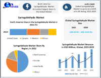 Syringaldehyde Market to reach USD 10.50 Billion by 2029 at a growth rate of 6.4 percent over the forecast period