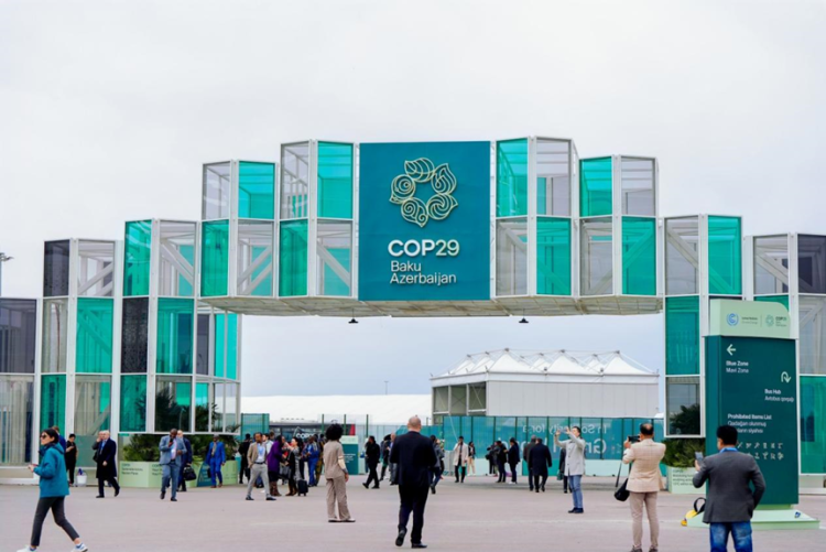 اختتم مؤتمر الأمم المتحدة لتغير المناخ (COP29) بنجاح في أذربيجان.