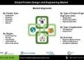 Protein Design and Engineering Market: Advancements in Protein-Based Drug Development and Therapeutics