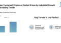 Boiler Water Treatment Chemical Market to Reach Significant Value by 2030 at a CAGR of 6.45% Driven by Industrial Growth and Sustainability Trends