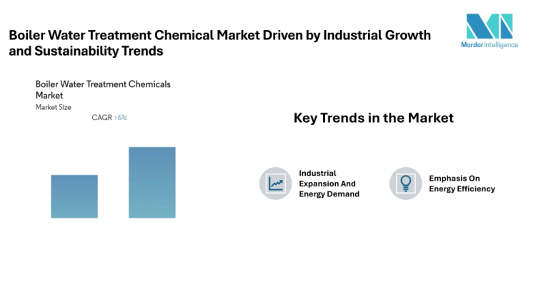 Boiler Water Treatment Chemical Market to Reach Significant Value by 2030 at a CAGR of 6.45% Driven by Industrial Growth and Sustainability Trends