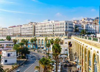 La Rôle Stratégique de la Distribution de Communiqués de Presse pour Soutenir les Entreprises et Organisations Opérant en Algérie