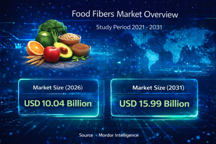 Food Fibers Market Size to Reach USD 15.99 Billion by 2031 | Key Trends and Growth Insights