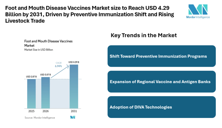Foot and Mouth Disease Vaccines Market size to Reach USD 4.29 Billion by 2031, Driven by Preventive Immunization Shift and Rising Livestock Trade