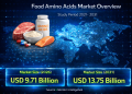 Food Amino Acids Market Size to Reach USD 13.75 Billion by 2031: Growth Driven by Functional Nutrition and Plant-Based Demand
