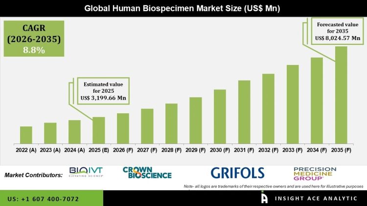 Human Biospecimen Market Growth Trends in Precision Medicine and Biobanking