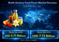 North America Food Flavor Market Size to Hit USD 7.13 Billion by 2031, Growing at 4.55% CAGR with Rising Natural Ingredients Trend