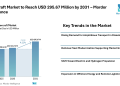 Hovercraft Market to Reach USD 295.67 Million by 2031 with Steady CAGR, Driven by Defense Demand, Electric Propulsion, and Flood Response Applications – Mordor Intelligence